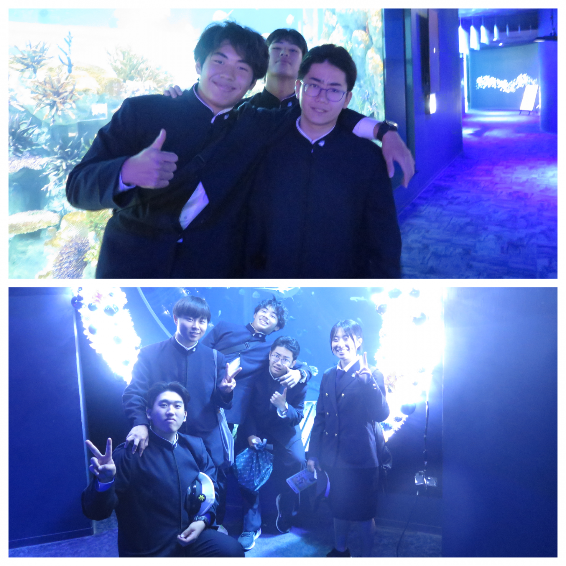 Blank 2 Grids Collage - 2025-11-25T171130.015